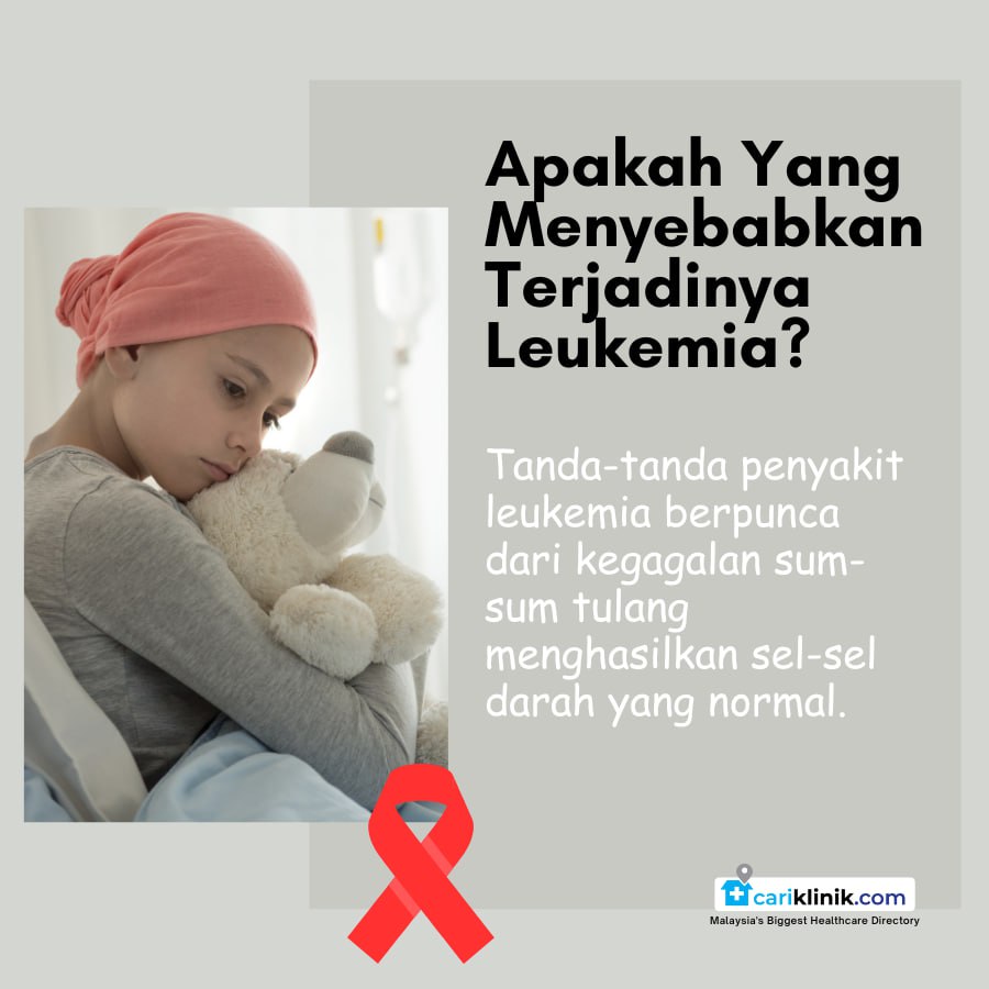 APA YANG MENYEBABKAN TERJADINYA LEUKEMIA ?