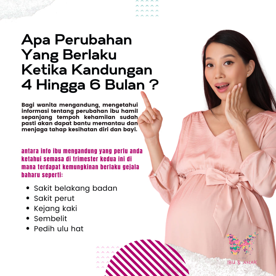 APA PERUBAHAN YANG BERLAKU KETIKA KANDUNGAN 4 HINGGA 6 BULAN ?