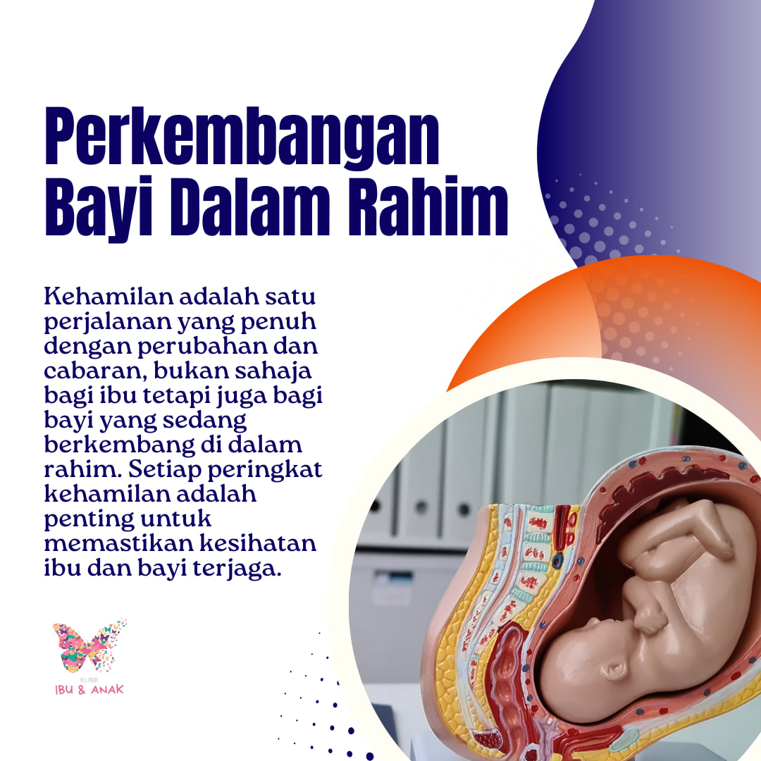 Perkembangan Bayi Dalam Rahim