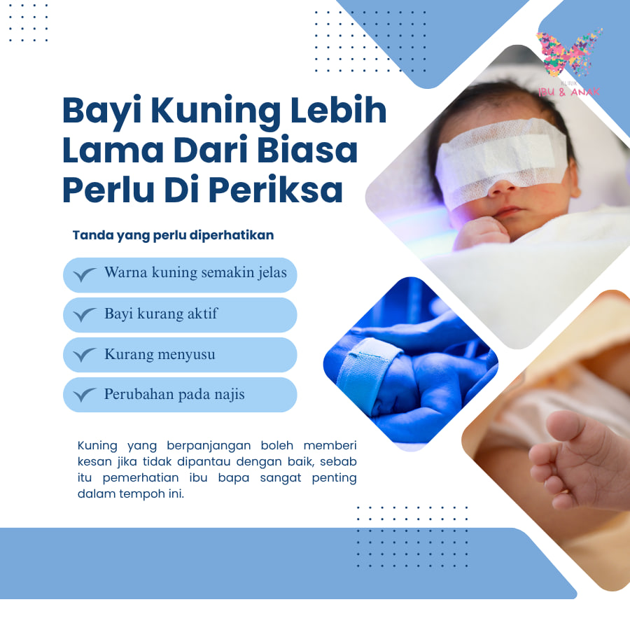 𝐁𝐚𝐲𝐢 𝐊𝐮𝐧𝐢𝐧𝐠 𝐋𝐞𝐛𝐢𝐡 𝐋𝐚𝐦𝐚 𝐃𝐚𝐫𝐢 𝐁𝐢𝐚𝐬𝐚 𝐏𝐞𝐫𝐥𝐮 𝐃𝐢 𝐏𝐞𝐫𝐢𝐤𝐬𝐚