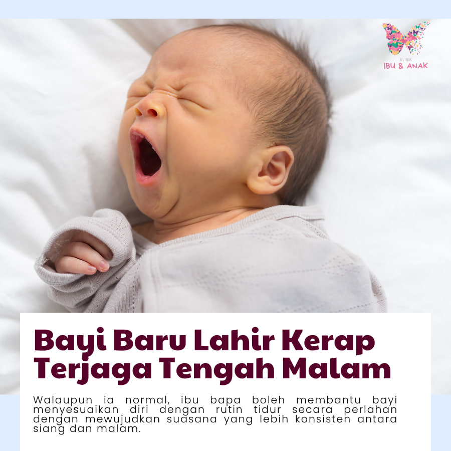 𝐁𝐚𝐲𝐢 𝐁𝐚𝐫𝐮 𝐋𝐚𝐡𝐢𝐫 𝐊𝐞𝐫𝐚𝐩 𝐓𝐞𝐫𝐣𝐚𝐠𝐚 𝐖𝐚𝐤𝐭𝐮 𝐌𝐚𝐥𝐚𝐦