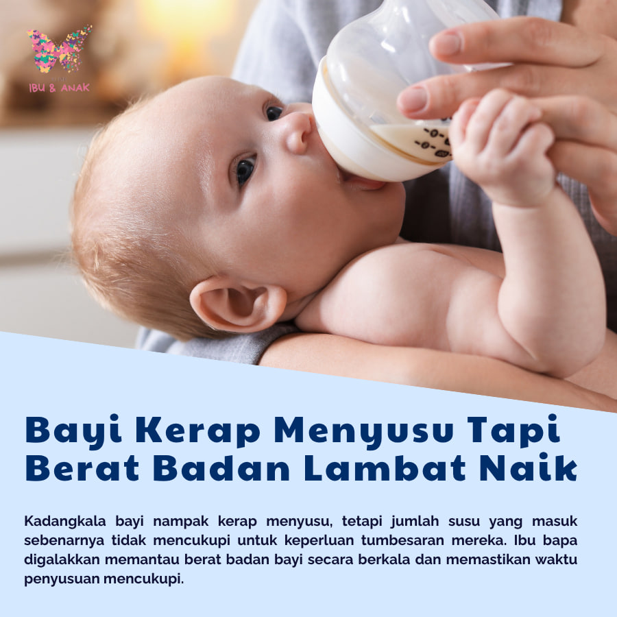 𝐁𝐚𝐲𝐢 𝐊𝐞𝐫𝐚𝐩 𝐌𝐞𝐧𝐲𝐮𝐬𝐮 𝐓𝐚𝐩𝐢 𝐁𝐞𝐫𝐚𝐭 𝐁𝐚𝐝𝐚𝐧 𝐋𝐚𝐦𝐛𝐚𝐭 𝐍𝐚𝐢𝐤