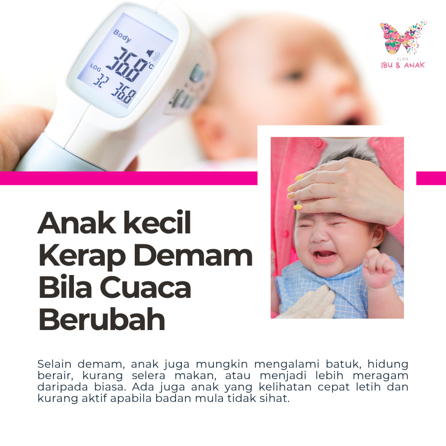 𝐀𝐧𝐚𝐤 𝐊𝐞𝐜𝐢𝐥 𝐊𝐞𝐫𝐚𝐩 𝐃𝐞𝐦𝐚𝐦 𝐁𝐢𝐥𝐚 𝐂𝐮𝐚𝐜𝐚 𝐁𝐞𝐫𝐮𝐛𝐚𝐡
