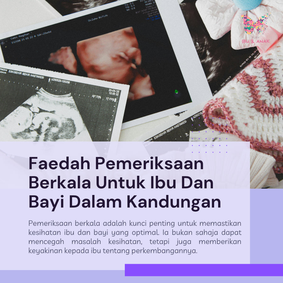 𝐅𝐚𝐞𝐝𝐚𝐡 𝐏𝐞𝐦𝐞𝐫𝐢𝐤𝐬𝐚𝐚𝐧 𝐁𝐞𝐫𝐤𝐚𝐥𝐚 𝐔𝐧𝐭𝐮𝐤 𝐈𝐛𝐮 𝐃𝐚𝐧 𝐁𝐚𝐲𝐢